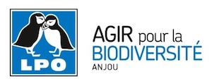 logo lpo anjou