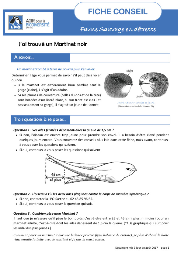 Fiche conseil - Martinets