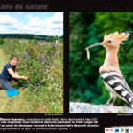 Sortie sur une ferme Paysans de nature