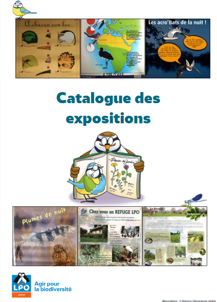 Capture D’écran 2025 05 23 104958
