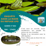 Enquête dans la mare du refuge LPO