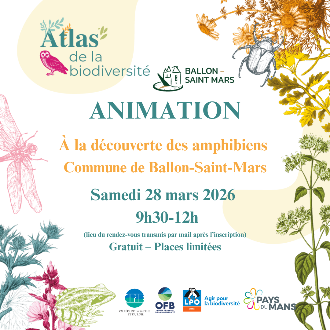 Animations Amphibiens Ballon Saint Mars (2)
