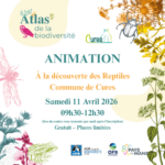A la découverte des reptiles
