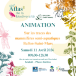 Sur les traces des mammifères semi-aquatique