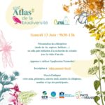 ABC CURES : Découverte des Chauves-souris