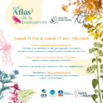 ABC BALLON : animation sciences participatives