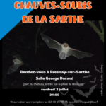 A la découverte des chauve-souris
