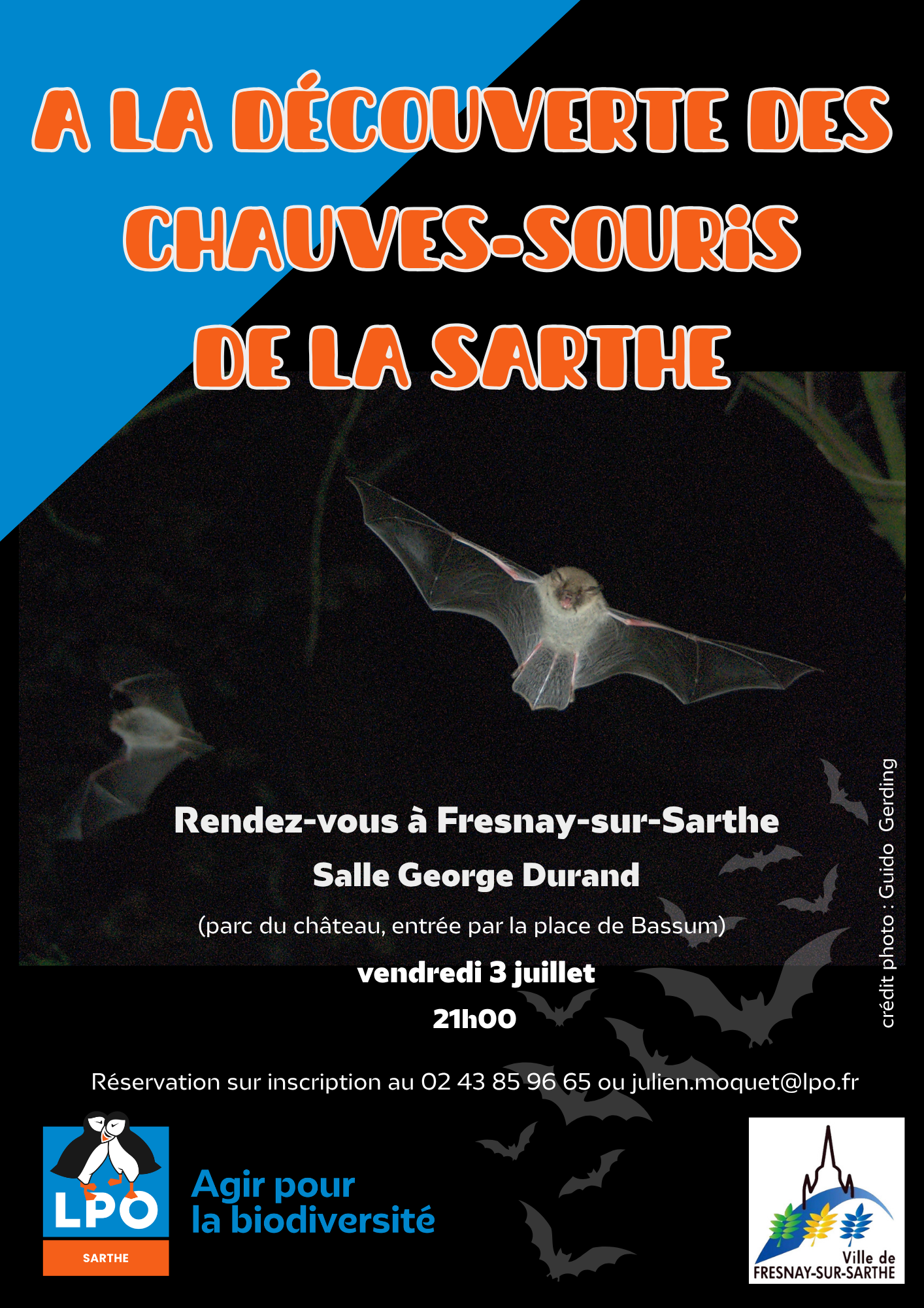A La Découverte Des Chauves Souris (1)