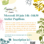 Atelier papillons