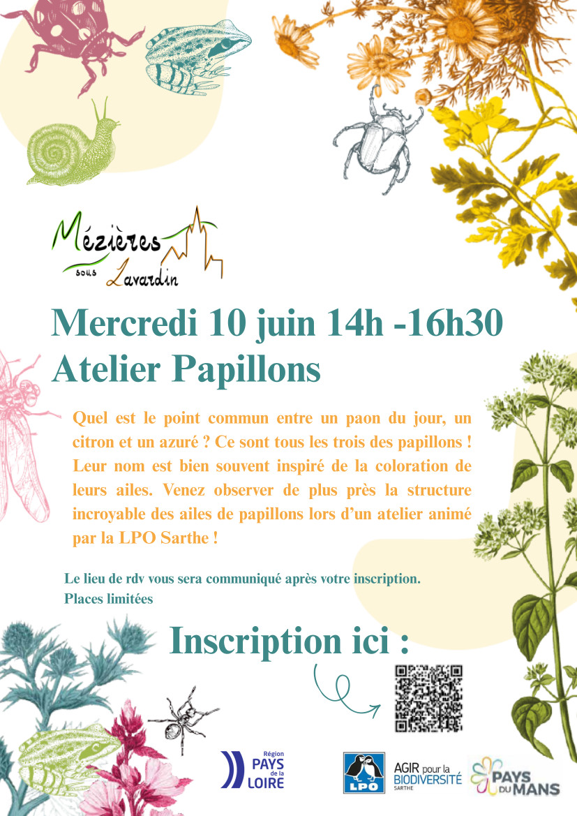 Atelier Scientifique Mézières Sous Lavardin