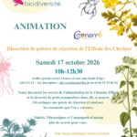 ABC : CONNERRE - Atelier de dissection de pelotes de réjection